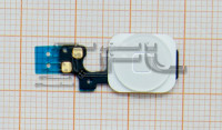 <!--Кнопка Home на шлейфе для iPhone 5c (белая)-->